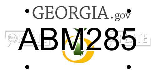 ABM285 Georgia License Plate