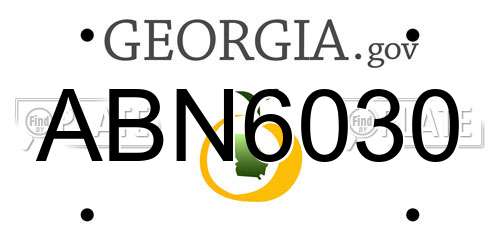 ABN6030 Georgia License Plate