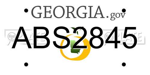 ABS2845 Georgia License Plate