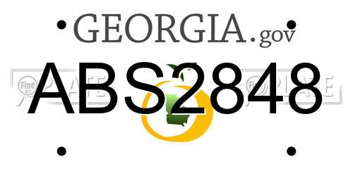 ABS2848 Georgia License Plate