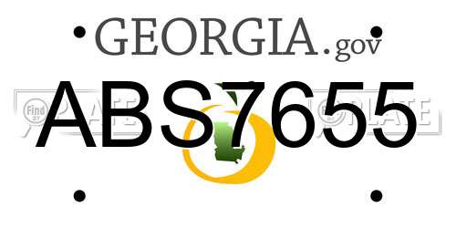 ABS7655 Georgia License Plate