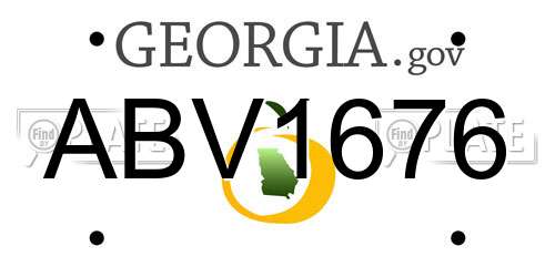 ABV1676 Georgia License Plate