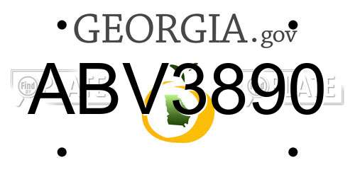 ABV3890 Georgia License Plate