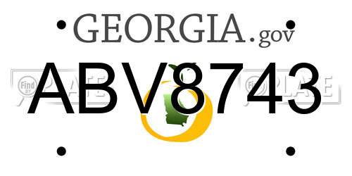 ABV8743 Georgia License Plate