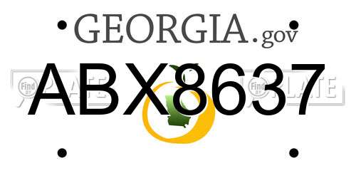 ABX8637 Georgia License Plate