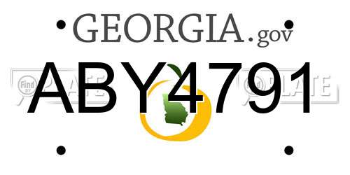 ABY4791 Georgia License Plate
