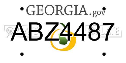 ABZ4487 Georgia License Plate
