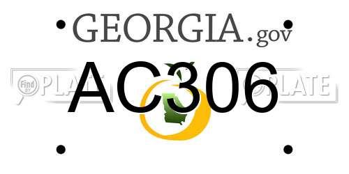 AC306 Georgia License Plate