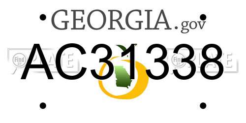 AC31338 Georgia License Plate