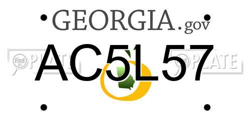AC5L57 Georgia License Plate