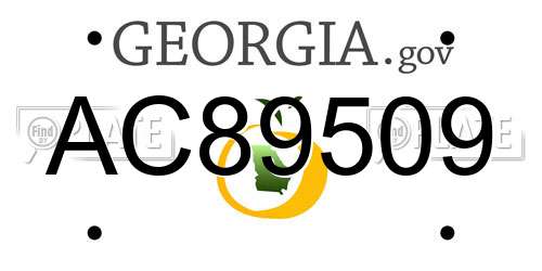 AC89509 Georgia License Plate