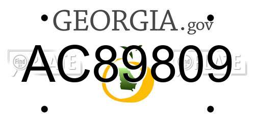 AC89809 Georgia License Plate