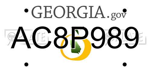 AC8P989 Georgia License Plate