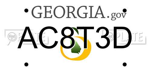 AC8T3D Georgia License Plate