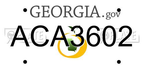 ACA3602 Georgia License Plate