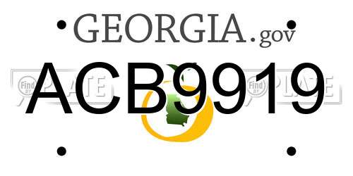 ACB9919 Georgia License Plate