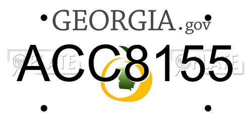ACC8155 Georgia License Plate