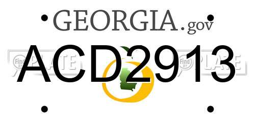 ACD2913 Georgia License Plate