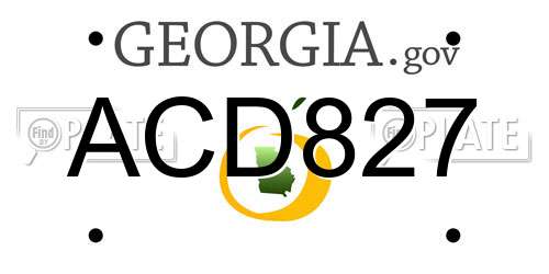 ACD827 Georgia License Plate
