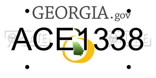 ACE1338 Georgia License Plate