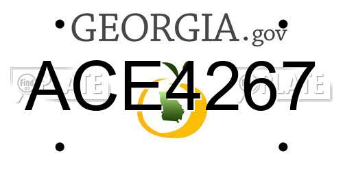 ACE4267 Georgia License Plate