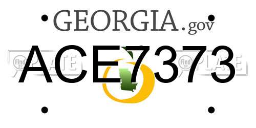 ACE7373 Georgia License Plate