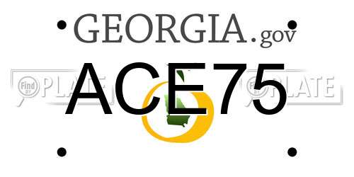 ACE75 Georgia License Plate