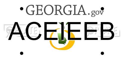 ACEIEEB Georgia License Plate