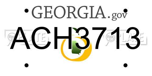 ACH3713 Georgia License Plate