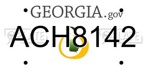 ACH8142 Georgia License Plate