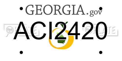 ACI2420 Georgia License Plate