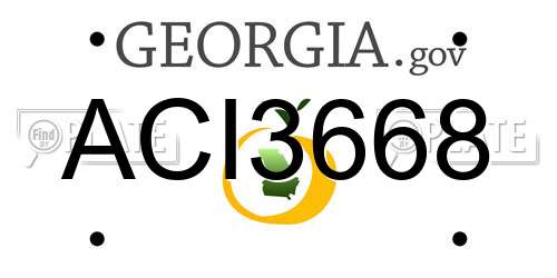 ACI3668 Georgia License Plate