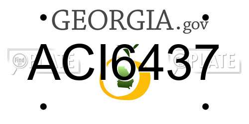 ACI6437 Georgia License Plate