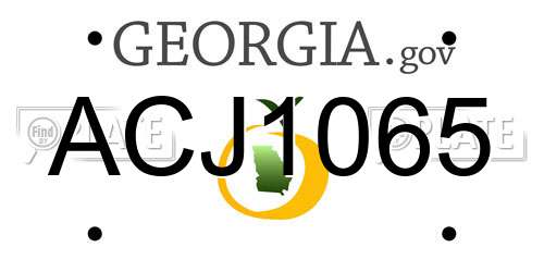 ACJ1065 Georgia License Plate