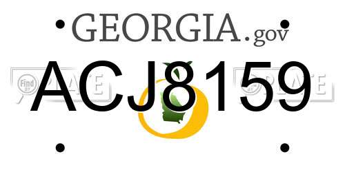 ACJ8159 Georgia License Plate