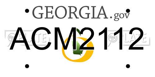 ACM2112 Georgia License Plate