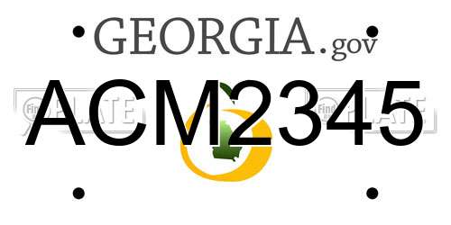 ACM2345 Georgia License Plate