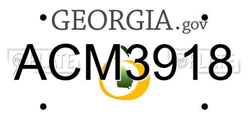 ACM3918 Georgia License Plate