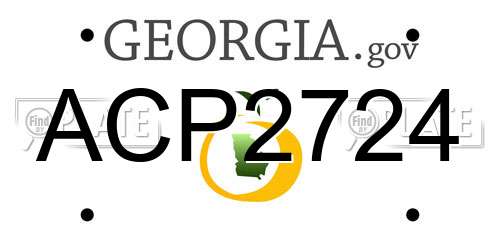 ACP2724 Georgia License Plate