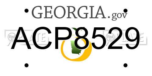 ACP8529 Georgia License Plate