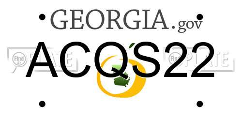 ACQS22 Georgia License Plate