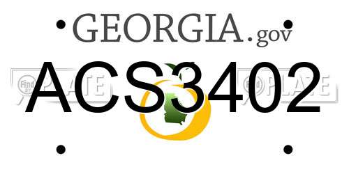 ACS3402 Georgia License Plate