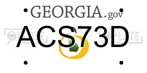 ACS73D Georgia License Plate