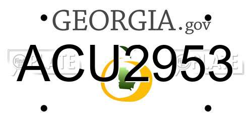 ACU2953 Georgia License Plate