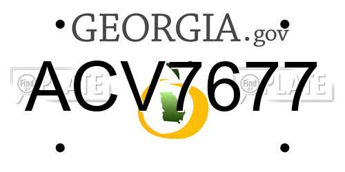 ACV7677 Georgia License Plate