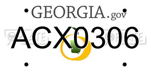 ACX0306 Georgia License Plate