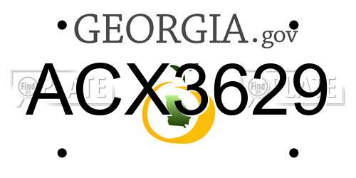 ACX3629 Georgia License Plate