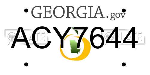 ACY7644 Georgia License Plate