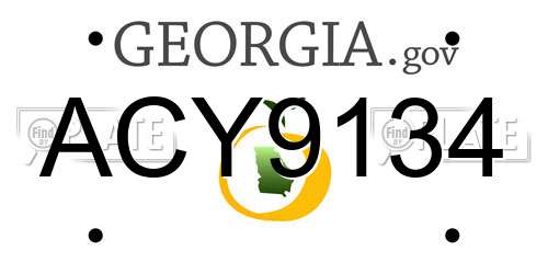 ACY9134 Georgia License Plate