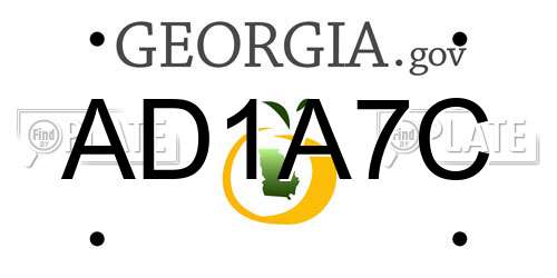 AD1A7C Georgia License Plate